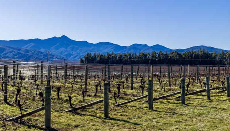 2486 State Highway 63, Wairau Valley