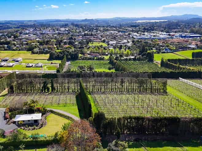 Rare 9.2ha Kerikeri development opportunity