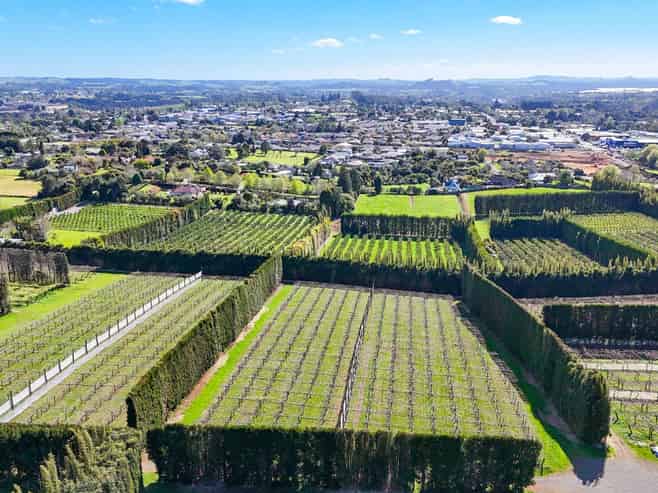Rare 9.2ha Kerikeri development opportunity