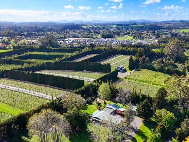 Rare 9.2ha Kerikeri development opportunity