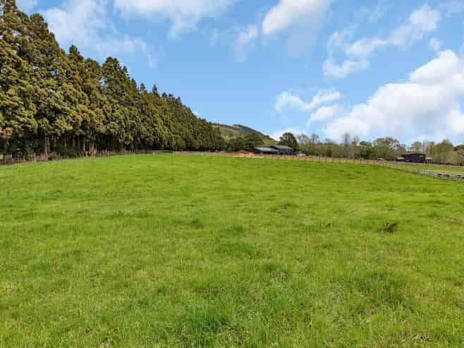 135 Apotu Road, Kauri