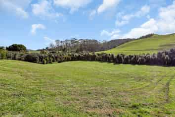 391 Pataua North Road, Whareora