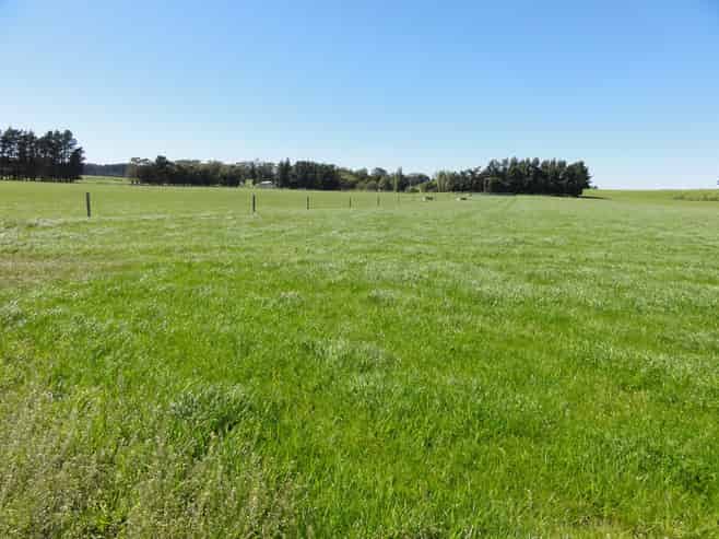 1492 Happy Valley Road, Motunau