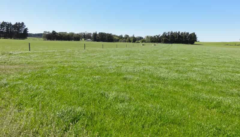 1492 Happy Valley Road, Motunau