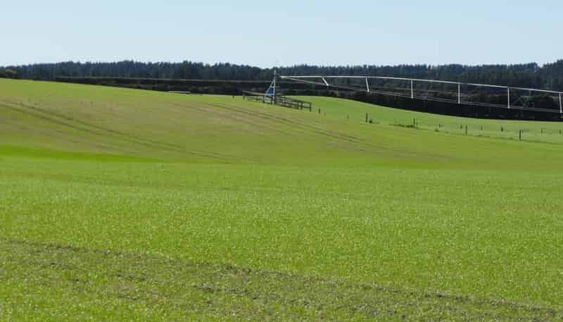 1492 Happy Valley Road, Motunau