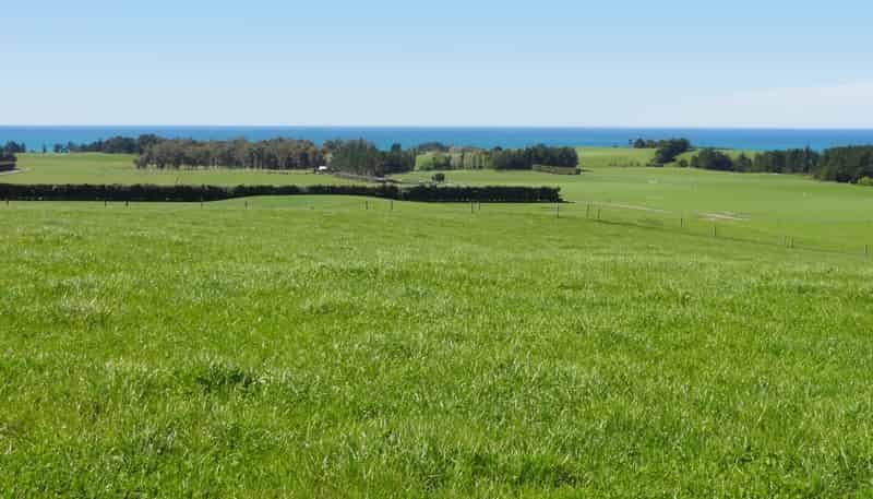 1492 Happy Valley Road, Motunau