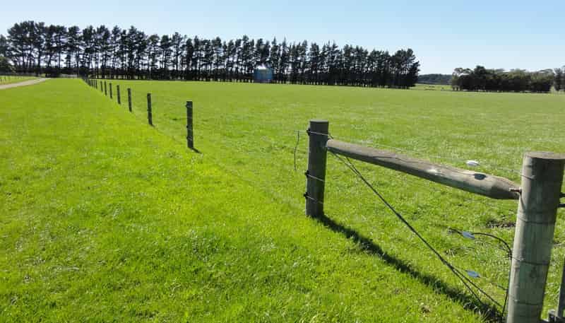 1492 Happy Valley Road, Motunau