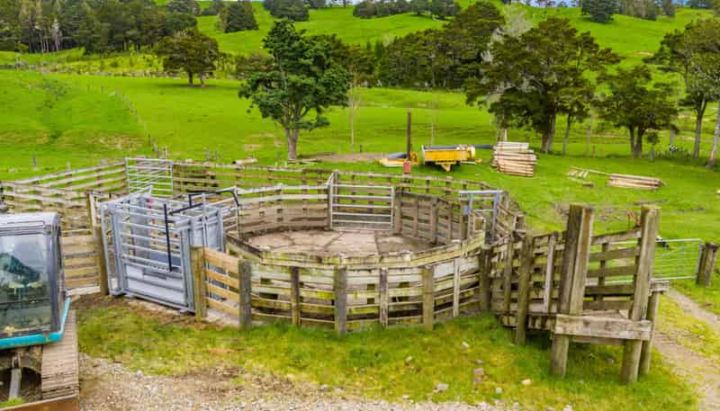 1070 Tangihua Road, Maungakaramea