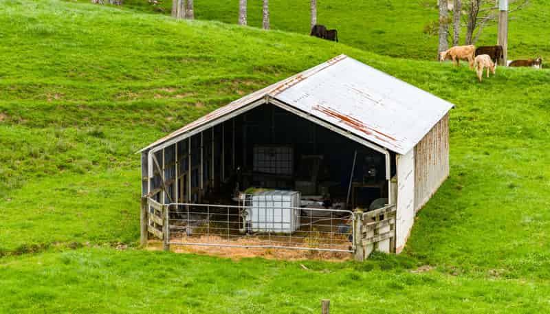 1070 Tangihua Road, Maungakaramea