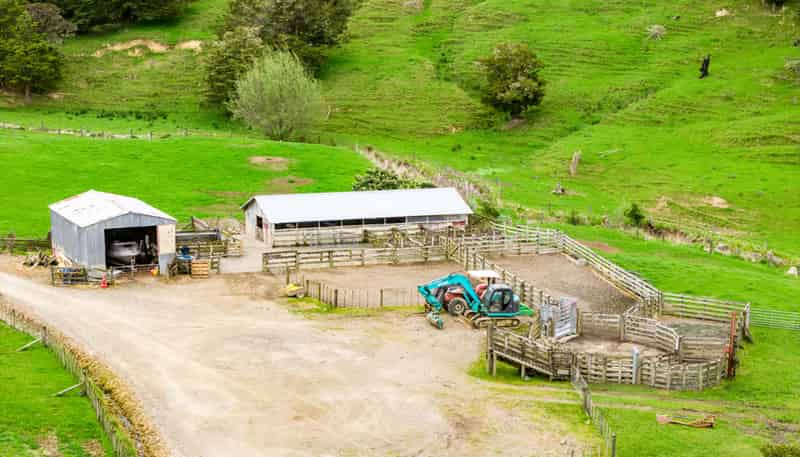 1070 Tangihua Road, Maungakaramea