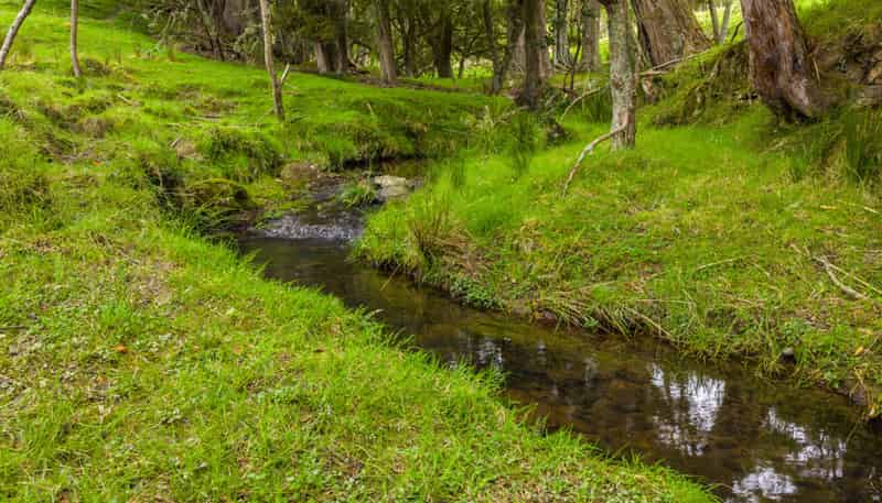 1070 Tangihua Road, Maungakaramea