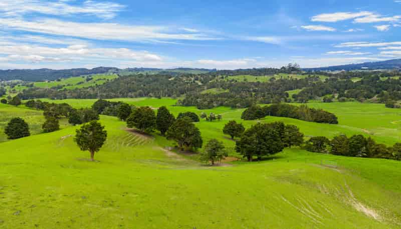 1070 Tangihua Road, Maungakaramea