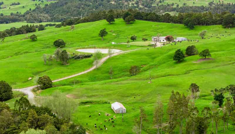 1070 Tangihua Road, Maungakaramea