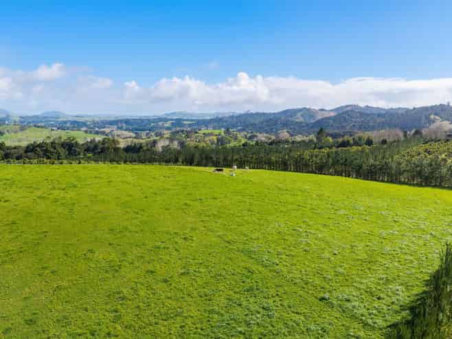 66 Kokopu Block Road, Maungatapere