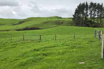  Mangaone Road, Inglewood