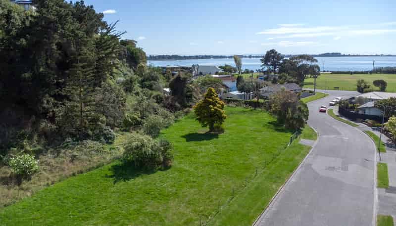 12 Aratoro Place, Mount Pleasant