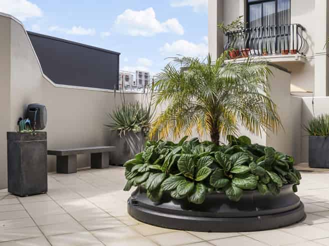 3A/6 Burgoyne Street, Grey Lynn