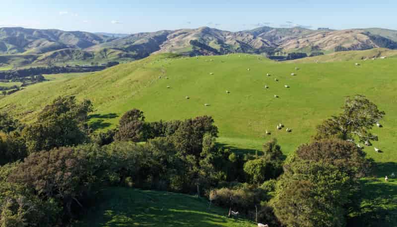 722 Castle Hill Road, Alfredton