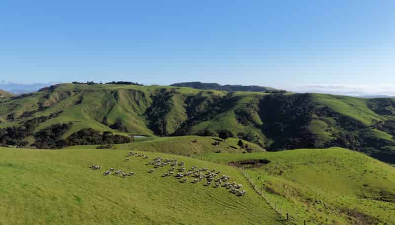 722 Castle Hill Road, Alfredton
