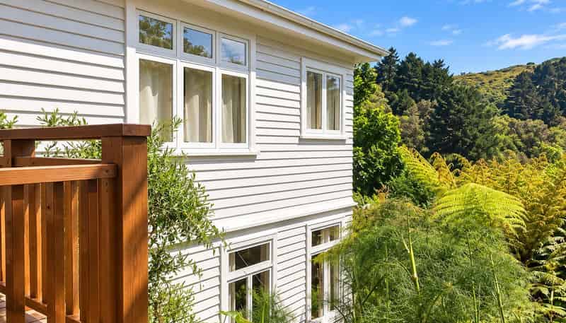 6 Semeloff Terrace, Aro Valley