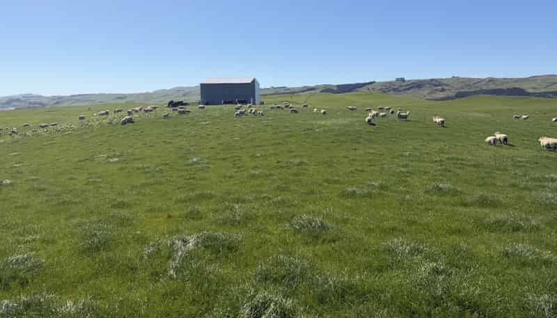 955 Elsthorpe Road, Otane