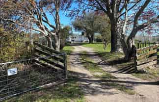 14 Kent Road, Frasertown