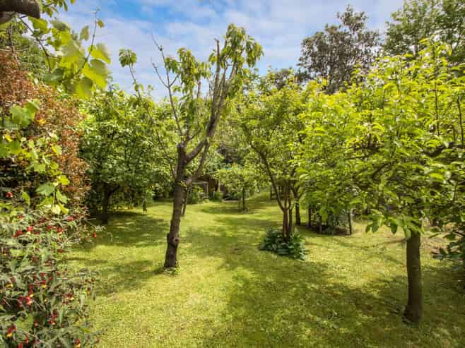 10 Richmal Street, Waihi
