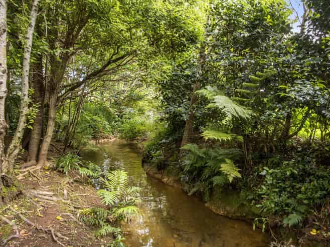 10 Richmal Street, Waihi