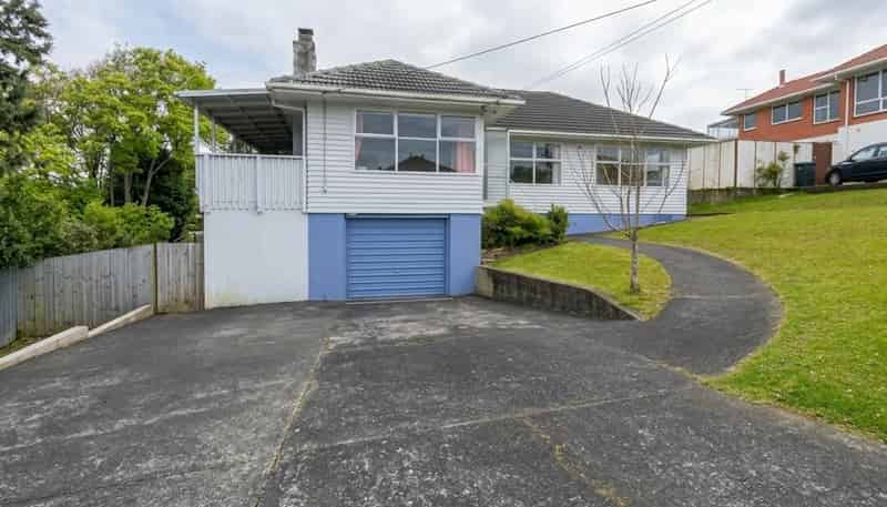 11 Budgen Street, Mount Roskill