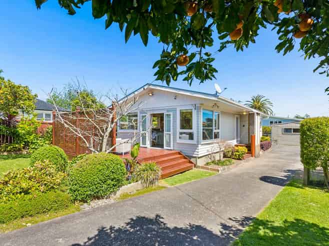 115 Vodanovich Road, Te Atatu South