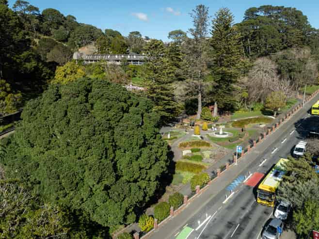 6/26 Glenmore Street, Thorndon