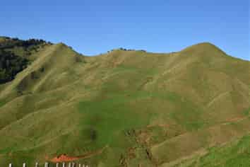 1295 Marokopa Road, Marokopa
