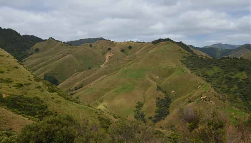 1295 Marokopa Road, Marokopa