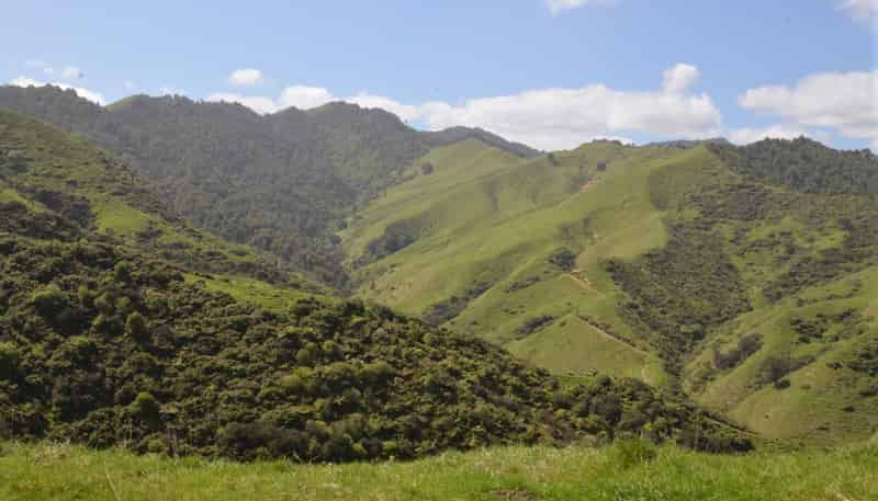 1295 Marokopa Road, Marokopa