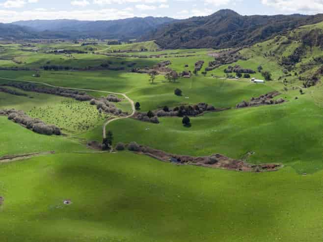 283 Minginui Road, Galatea