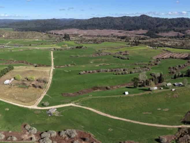 283 Minginui Road, Galatea