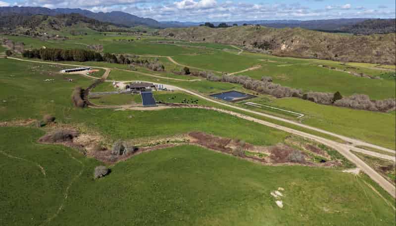283 Minginui Road, Galatea