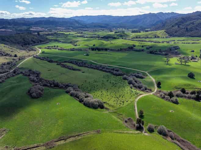Lot 1, 283 Minginui Road, Galatea