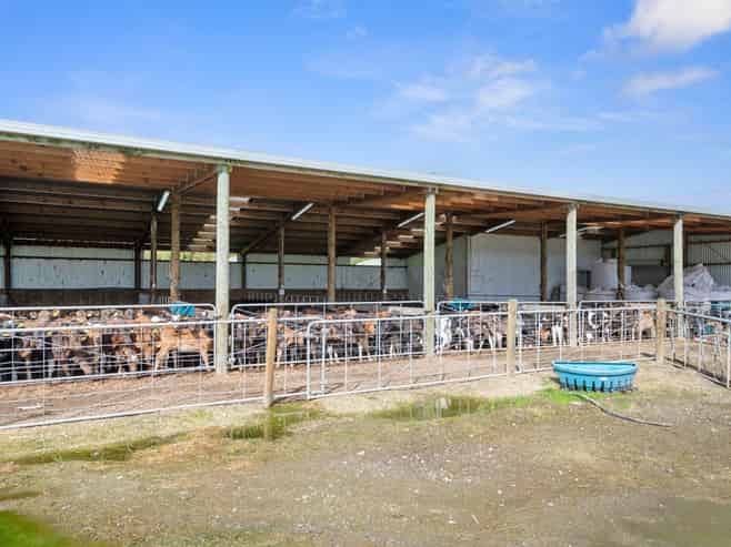 Lot 1, 283 Minginui Road, Galatea