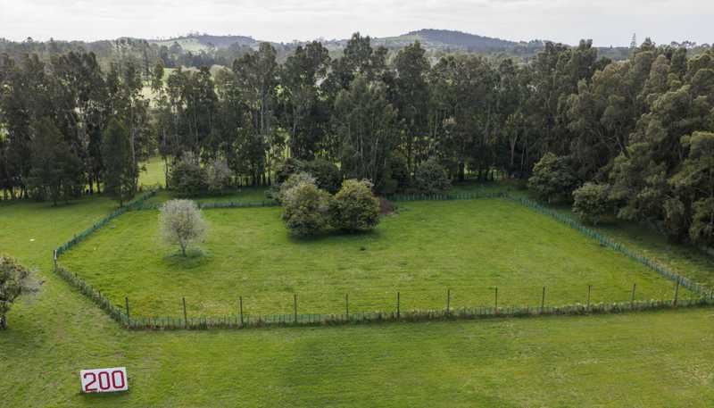 34 Macadamia Lane, Kerikeri Surrounds