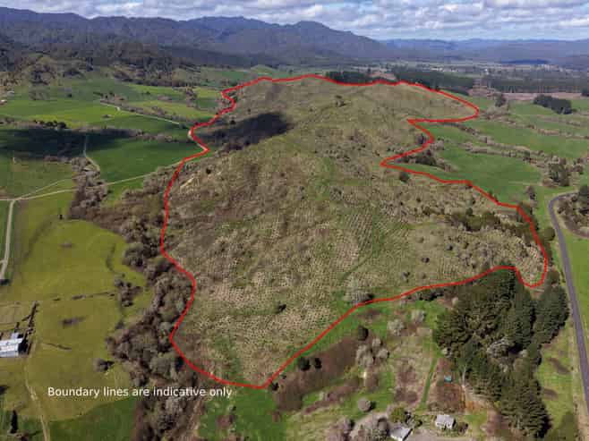 Lot 4, 283 Minginui Road, Galatea