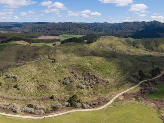 Lot 4, 283 Minginui Road, Galatea