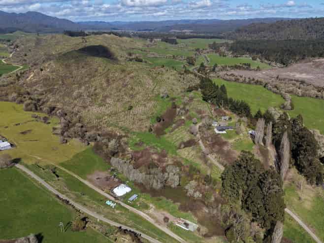 Lot 4, 283 Minginui Road, Galatea