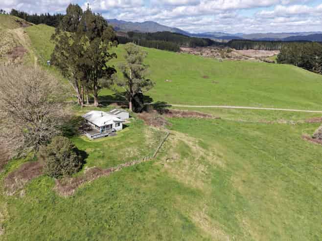 Lot 3, 283 Minginui Road, Galatea
