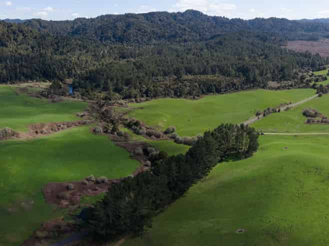 Lot 3, 283 Minginui Road, Galatea