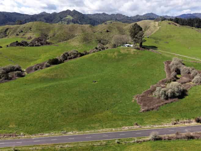 Lot 3, 283 Minginui Road, Galatea