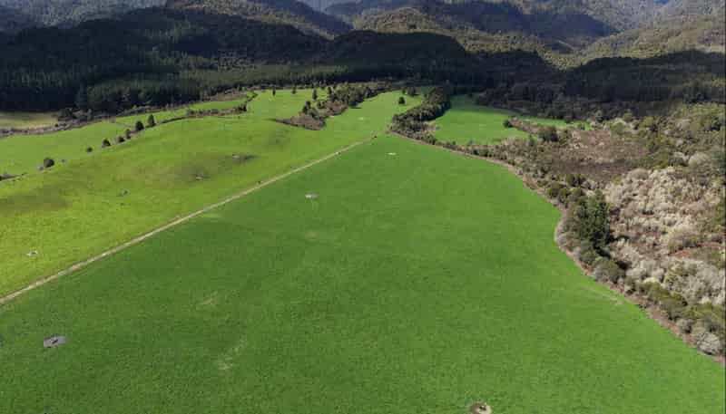 Lot 2, 283 Minginui Road, Galatea