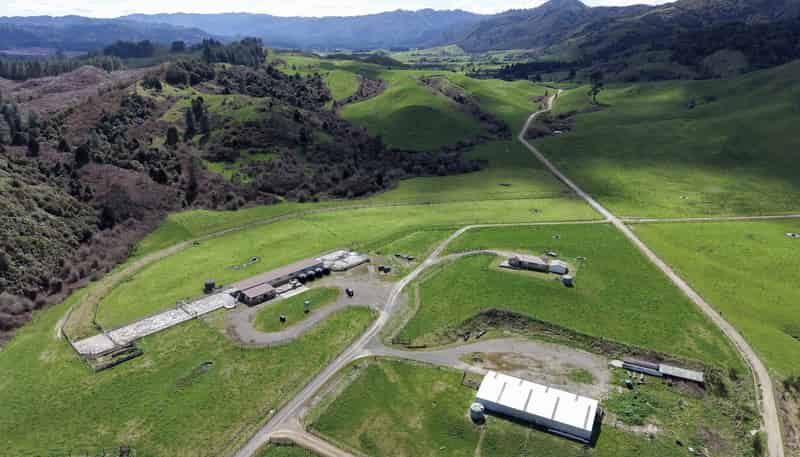 Lot 2, 283 Minginui Road, Galatea