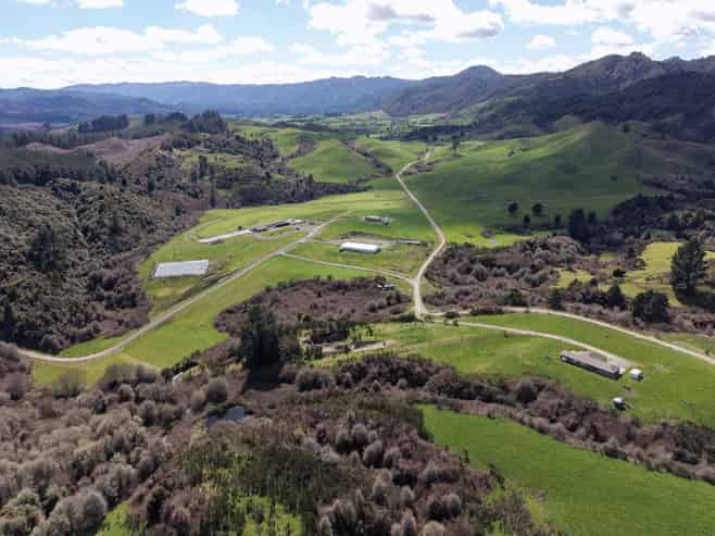Lot 2, 283 Minginui Road, Galatea
