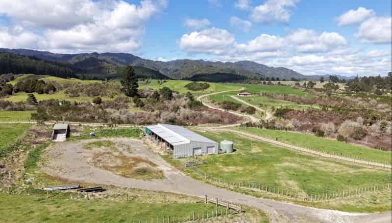 Lot 2, 283 Minginui Road, Galatea